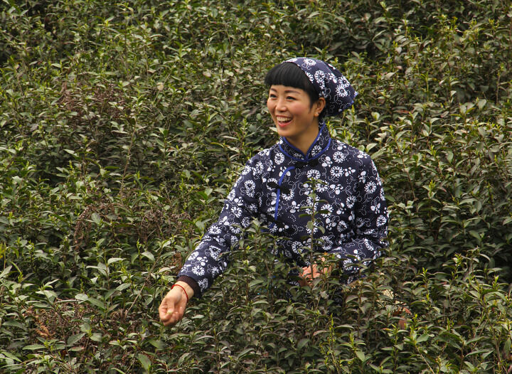 霓虹低语